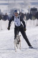Lenk 2013